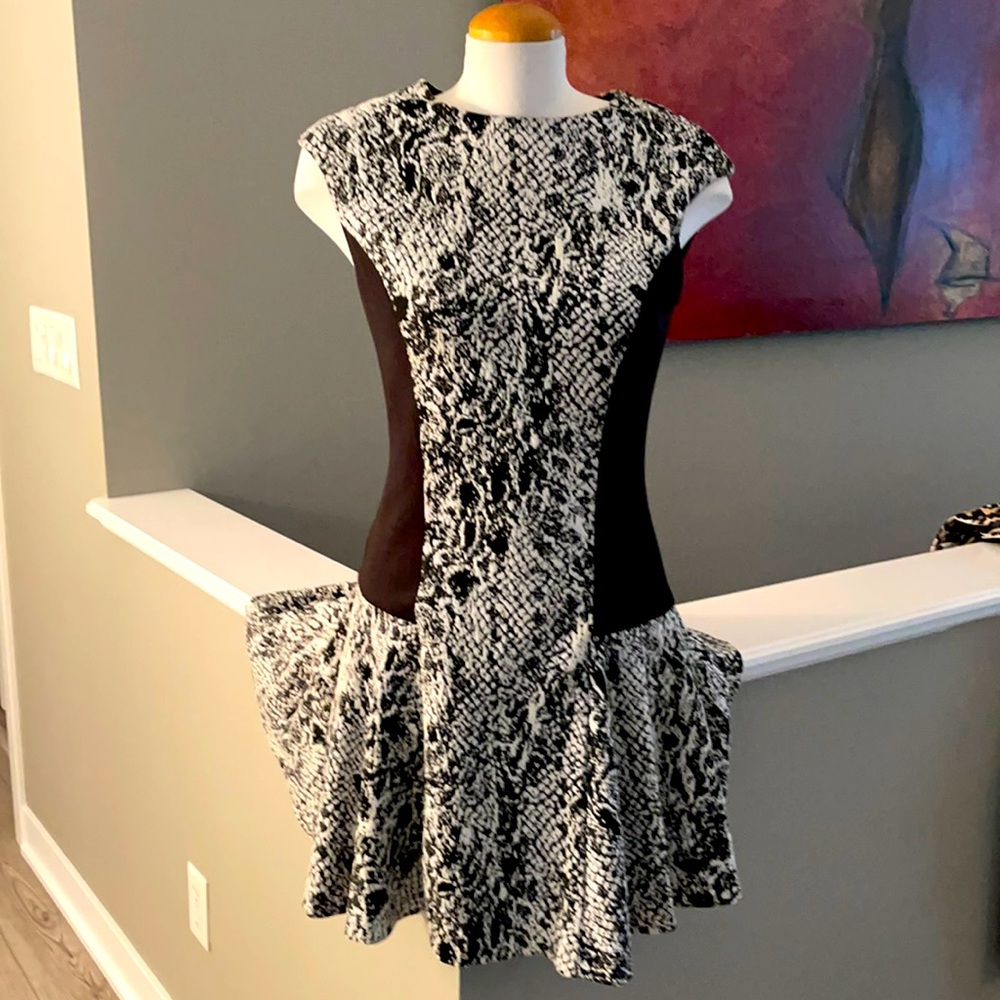 Ted Baker black/white skater dress.